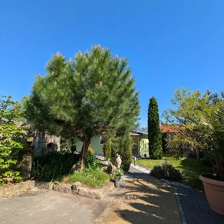 Feriehus Koenigsnase *