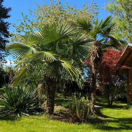 Koenigsnase Feriehus *