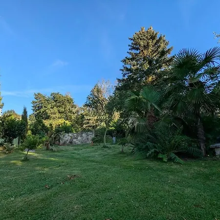 Koenigsnase * Struppen