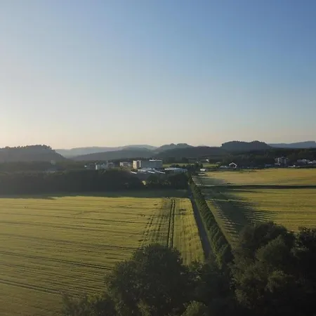 Koenigsnase * Struppen